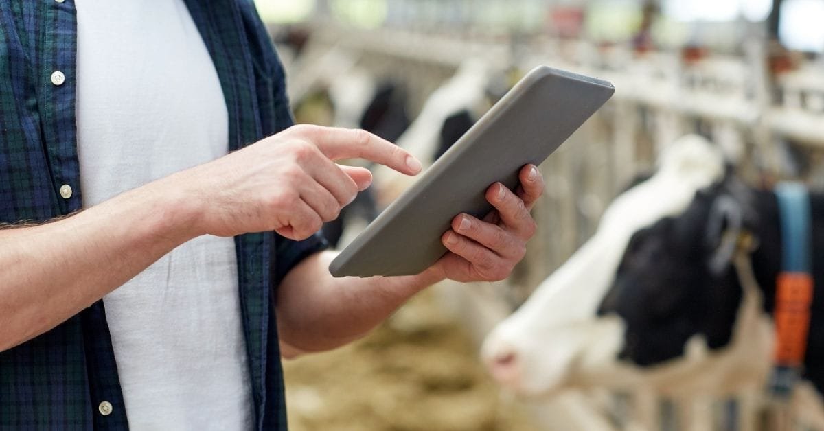 Dairy Farm Worker Jobs in Canada Dairy Farm Worker Jobs in Canada