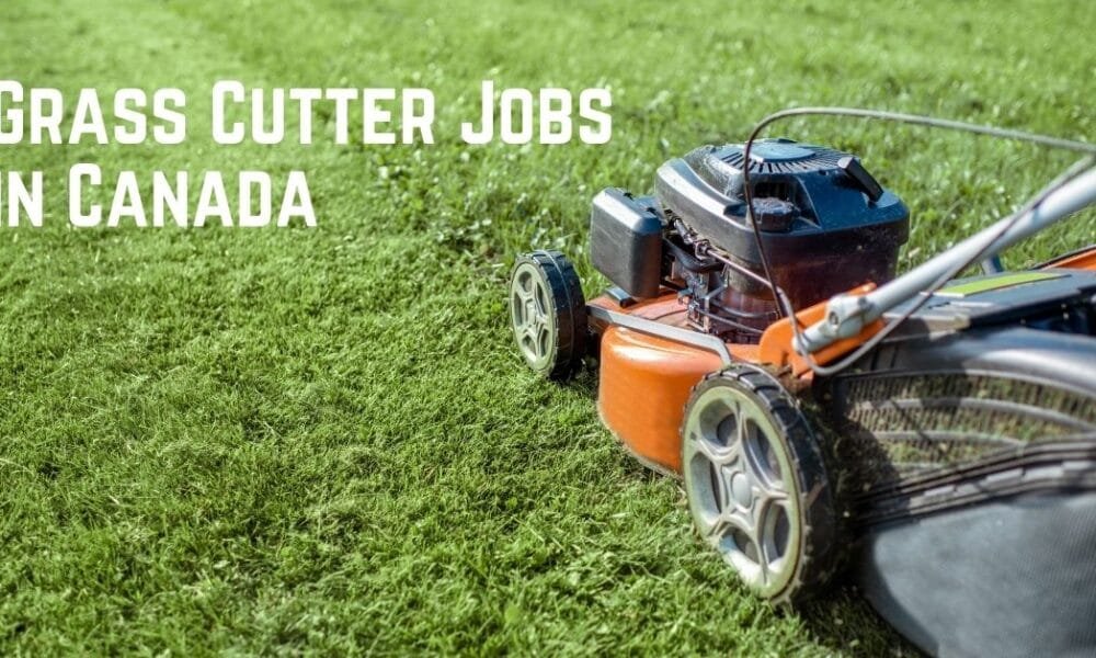 Grass Cutter Jobs in Canada – 4 New Jobs Grass Cutter Jobs in Canada