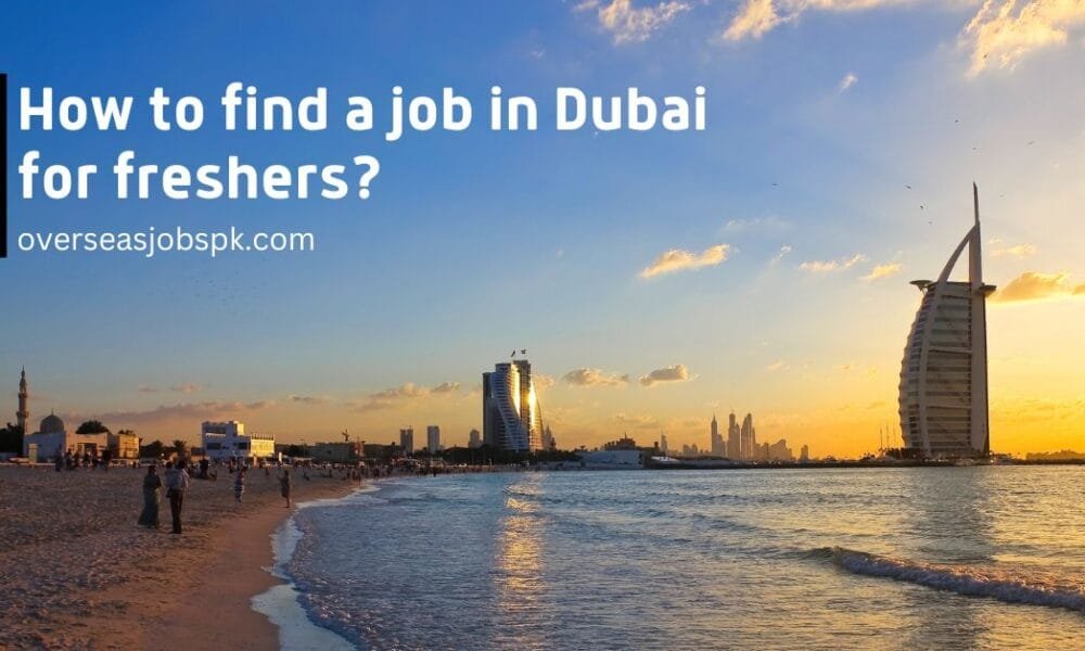 How to Find a Job in Dubai for Freshers? (5 Important Tips) How to Find a Job in Dubai for Freshers?