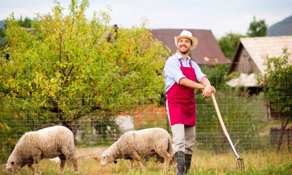 Is Farming a Good Career in Canada? Is Farming a Good Career in Canada?
