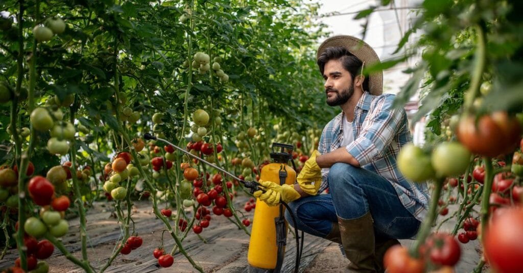 Seasonal Agricultural Worker Program