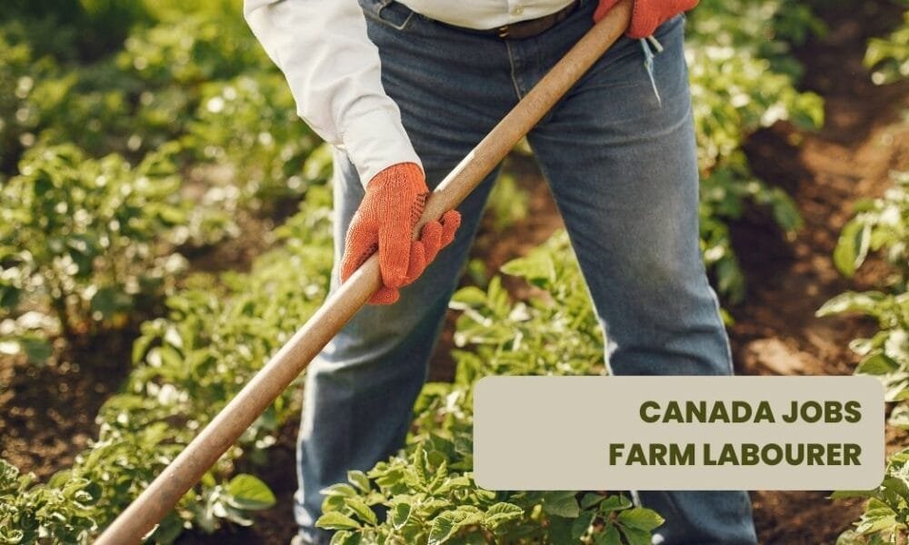 We Are Hiring Farm Labourers For Canada – 15 Vacancies Farm Labourers For Canada