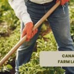 Farm Labourers For Canada
