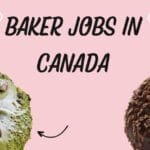 Baker Jobs in Canada