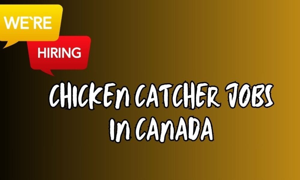 Chicken Catcher Vacancies in Canada (48 Vacancies) Chicken Catcher Vacancies in Canada