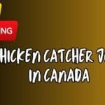 Factory Worker Jobs in New Zealand Chicken Catcher Vacancies in Canada