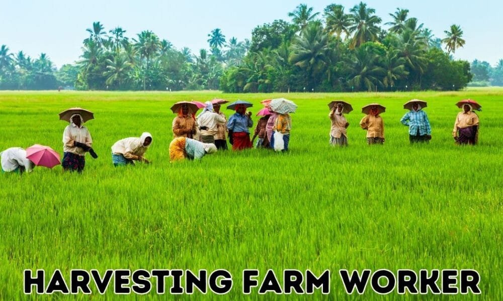 Harvesting Farm Worker Jobs in Canada Harvesting Farm Worker Jobs in Canada