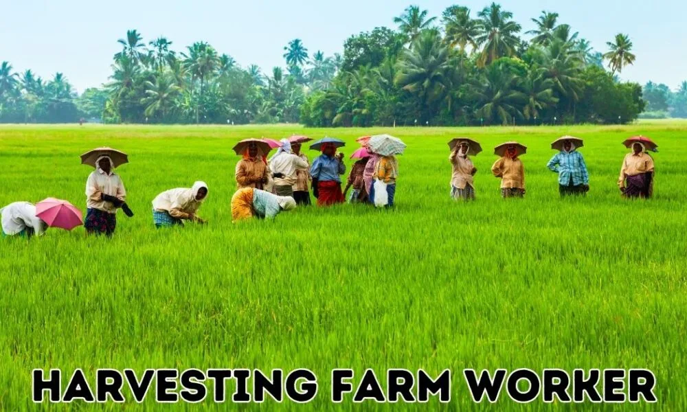 Harvesting Farm Worker Jobs in Canada Harvesting Farm Worker Jobs in Canada