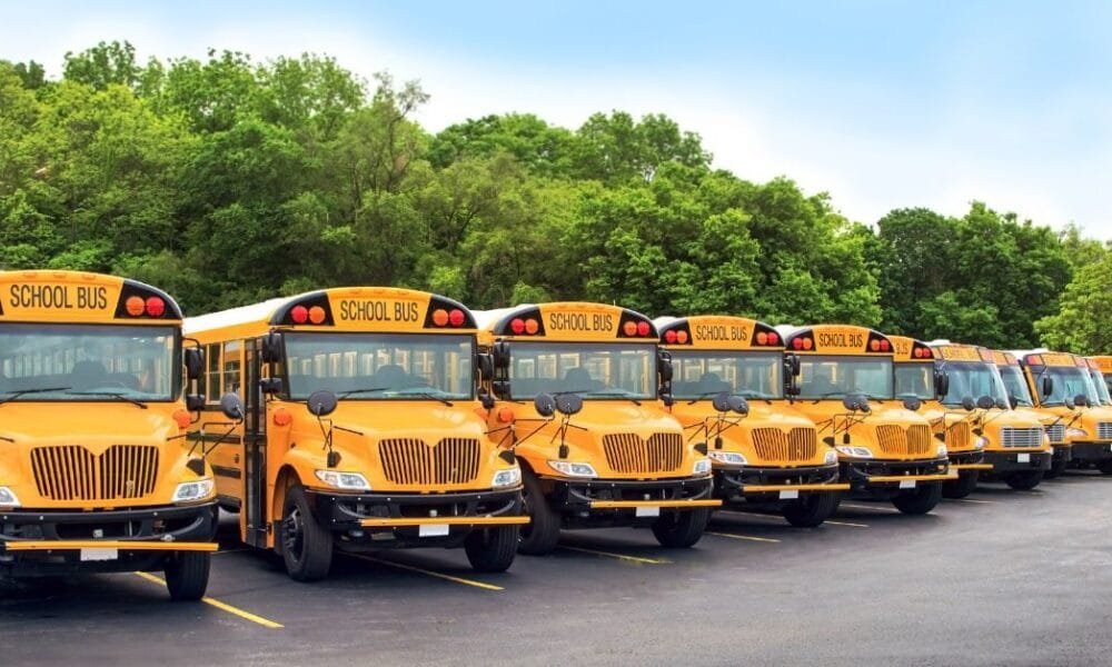 School Bus Attendant Jobs in Dubai