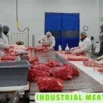 General Helper Jobs in Dubai 2025 Industrial Meat Cutter Jobs in Canada