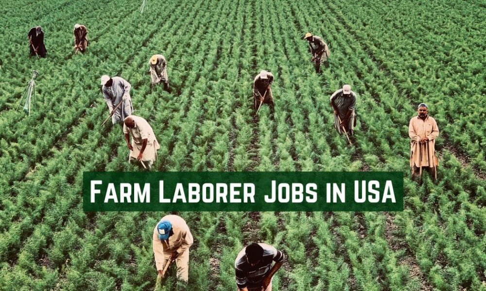Farm Laborer Jobs in USA
