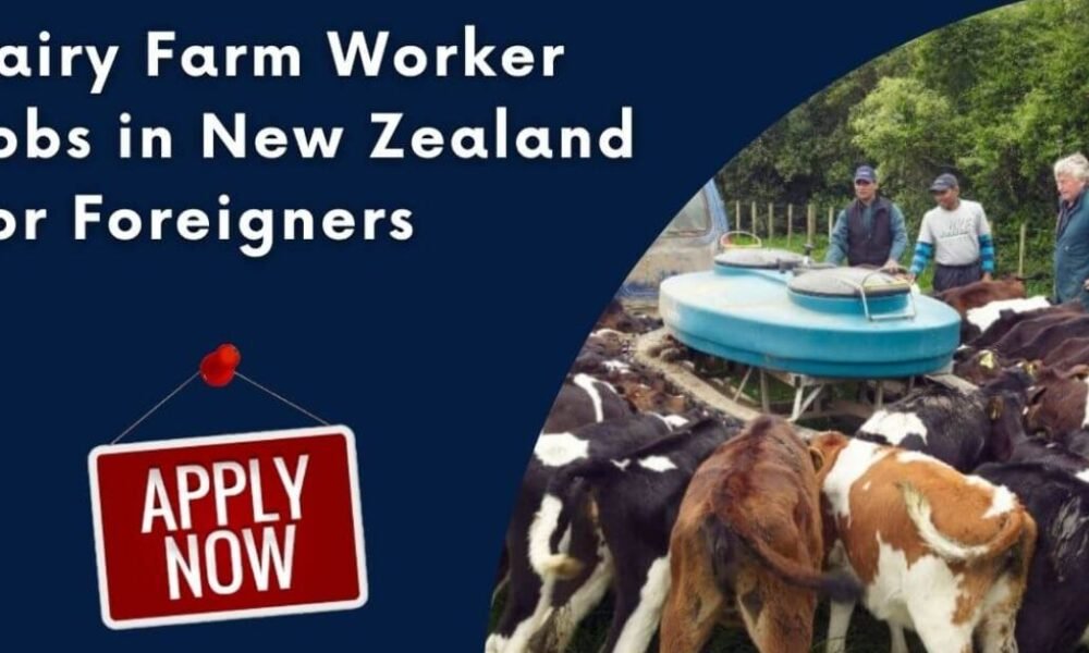 Dairy Farm Worker Jobs in New Zealand Dairy Farm Worker Jobs in New Zealand