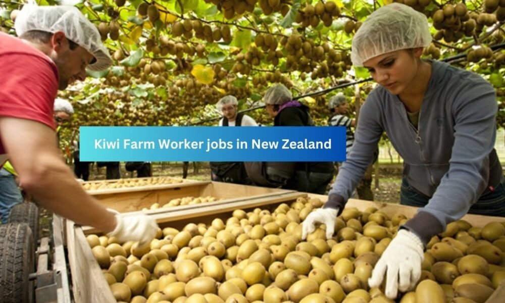 Fruit Farm Worker Jobs in New Zealand (Kiwi Farm) Fruit Farm Worker Jobs in New Zealand