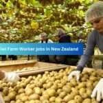 Cleaner Required for Cleaning Company in UAE Fruit Farm Worker Jobs in New Zealand