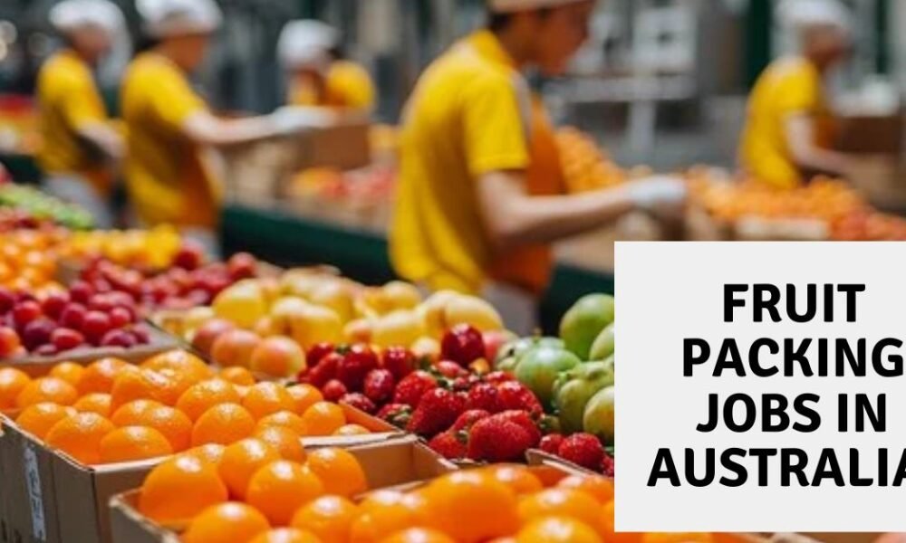 Fruit Packing Jobs in Australia – Latest Jobs 2025 Fruit Packing Jobs in Australia