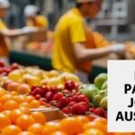 Aircraft Cabin Cleaner Jobs in Dubai 2025 Fruit Packing Jobs in Australia