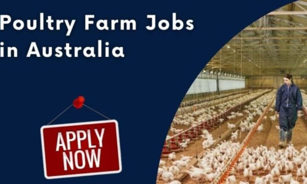 Poultry Farm Worker Jobs in Australia (2025) Poultry Farm Worker Jobs in Australia