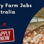 Poultry Farm Worker Jobs in Australia