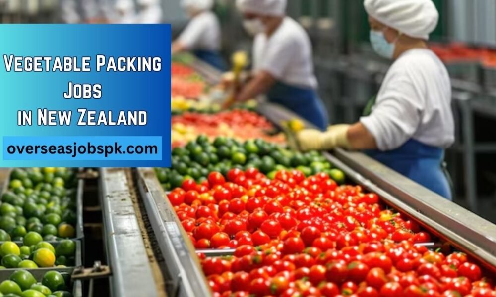 Vegetable Packing Jobs in New Zealand Vegetable Packing Jobs in New Zealand
