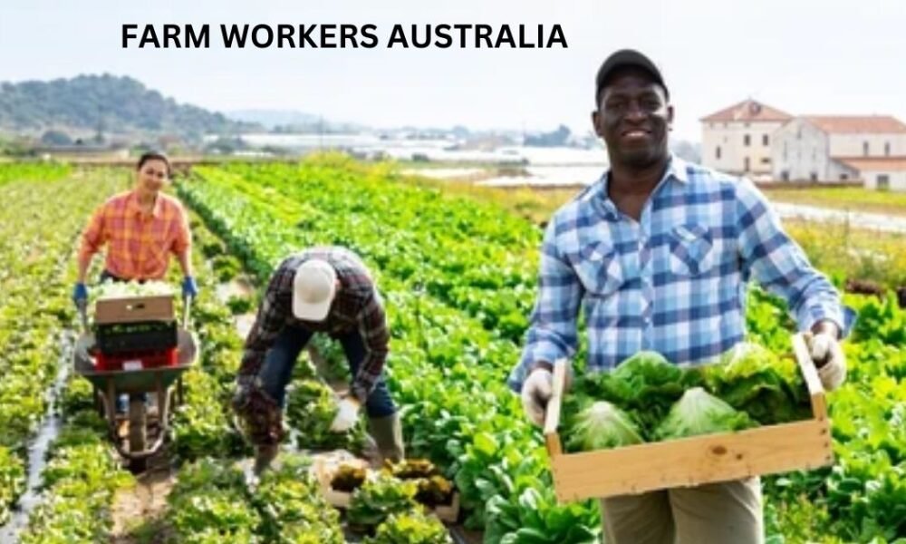 Vegetable Farm Worker Jobs in Australia (Farm Attendant) Vegetable Farm Worker Jobs in Australia