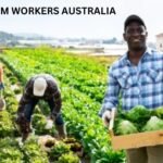 Documents Controller Required in Sharjah – UAE Vegetable Farm Worker Jobs in Australia