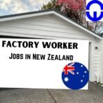 School Bus Driver Jobs in Dubai – New Hiring Factory Worker Jobs in New Zealand