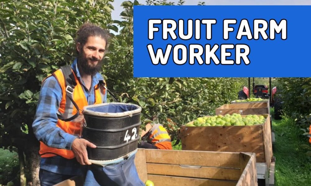 Fruit Farm Worker Jobs in USA – 100 Vacancies Fruit Farm Worker Jobs in USA