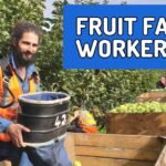 Assembly Line General Labour Vacancies in Canada (20 Vacancies) Fruit Farm Worker Jobs in USA