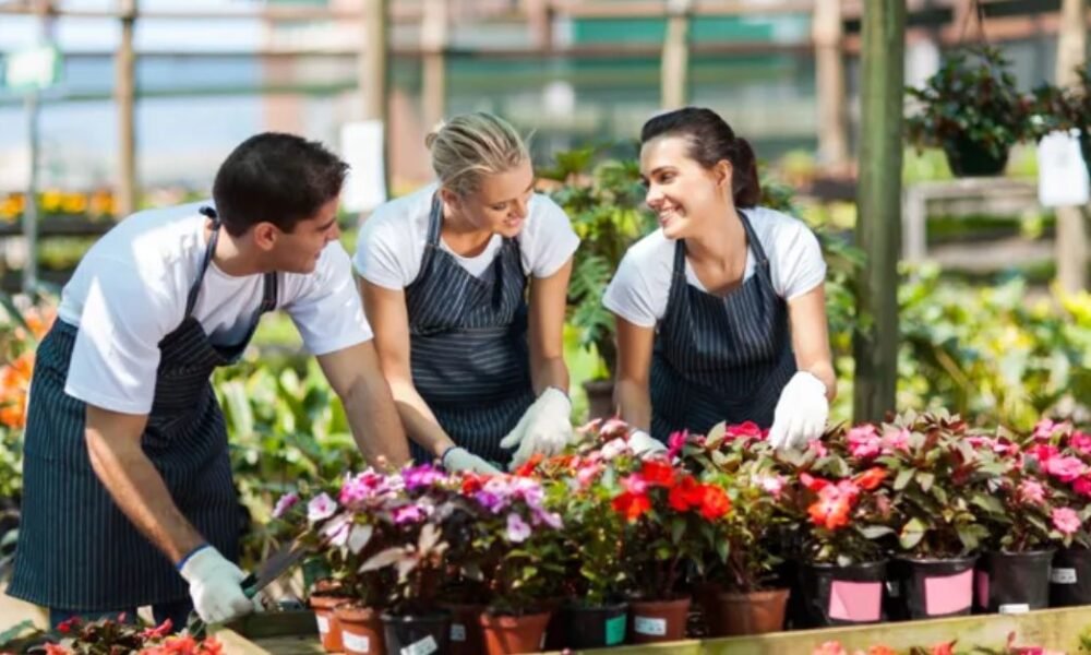 Nursery Worker Jobs in New Zealand – 2025 Nursery Worker Jobs in New Zealand