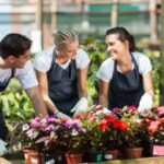 Cook Required For Restaurant in Dubai Nursery Worker Jobs in New Zealand