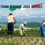 Farm Laborer Jobs in USA (2025 New Jobs) Farm Worker Jobs in Italy